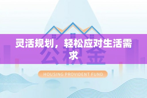 儋州灵活规划，轻松应对生活需求