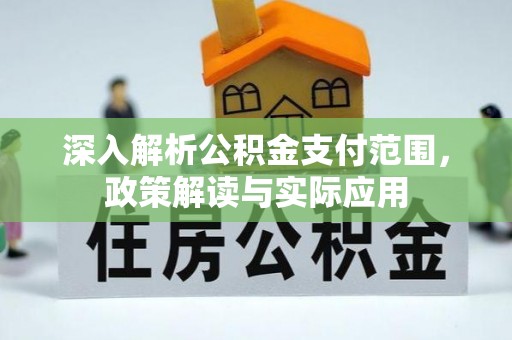 儋州深入解析公积金支付范围，政策解读与实际应用