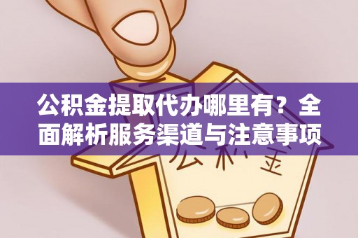 儋州公积金提取代办哪里有？全面解析服务渠道与注意事项