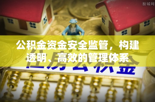 儋州公积金资金安全监管，构建透明、高效的管理体系