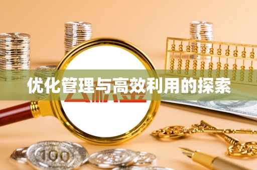 儋州优化管理与高效利用的探索
