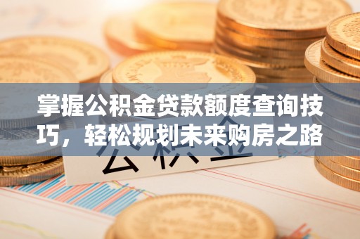 儋州掌握公积金贷款额度查询技巧，轻松规划未来购房之路
