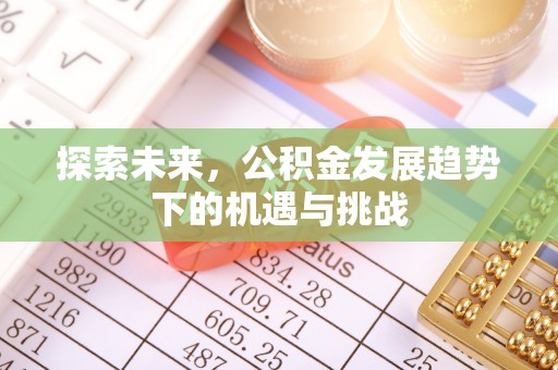 儋州探索未来，公积金发展趋势下的机遇与挑战