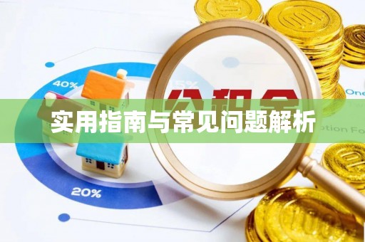 儋州实用指南与常见问题解析