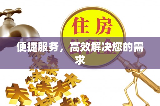 儋州便捷服务，高效解决您的需求