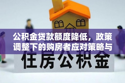 儋州公积金贷款额度降低，政策调整下的购房者应对策略与未来趋势