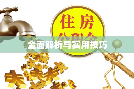 儋州全面解析与实用技巧
