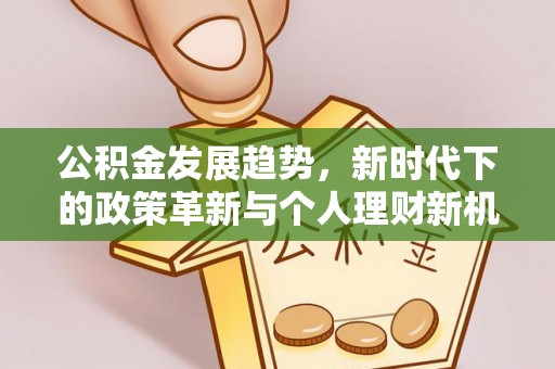 儋州公积金发展趋势，新时代下的政策革新与个人理财新机遇
