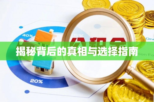 儋州揭秘背后的真相与选择指南