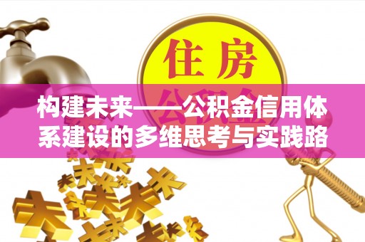 儋州构建未来——公积金信用体系建设的多维思考与实践路径