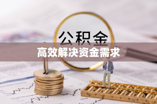 儋州高效解决资金需求