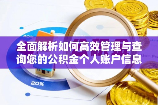 儋州全面解析如何高效管理与查询您的公积金个人账户信息