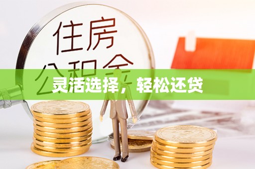 儋州灵活选择，轻松还贷
