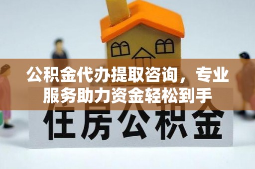儋州公积金代办提取咨询，专业服务助力资金轻松到手