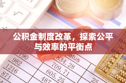 儋州公积金制度改革，探索公平与效率的平衡点