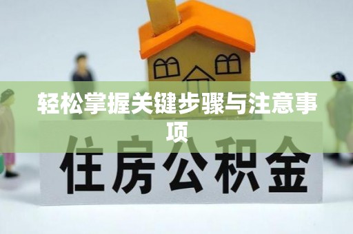 儋州轻松掌握关键步骤与注意事项