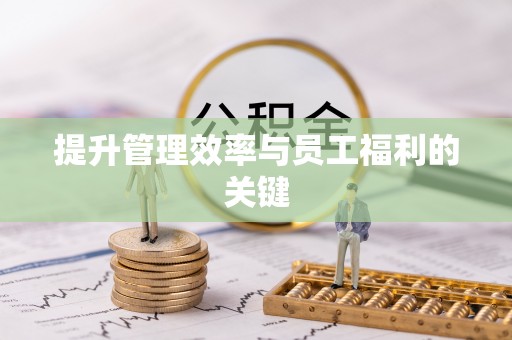 儋州提升管理效率与员工福利的关键
