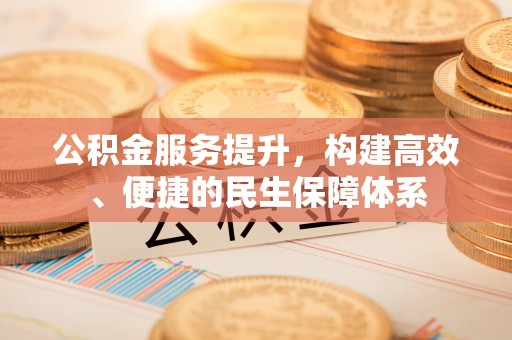 儋州公积金服务提升，构建高效、便捷的民生保障体系