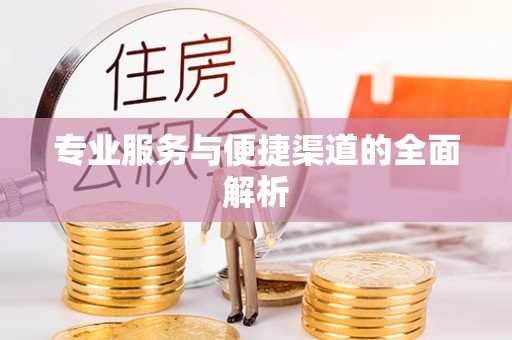 儋州专业服务与便捷渠道的全面解析