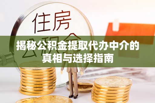 儋州揭秘公积金提取代办中介的真相与选择指南