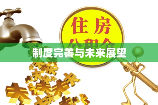 儋州制度完善与未来展望