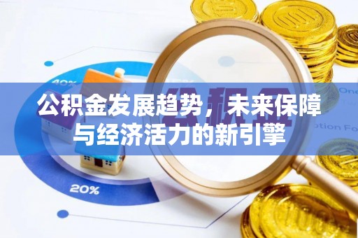 儋州公积金发展趋势，未来保障与经济活力的新引擎