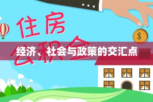 儋州经济、社会与政策的交汇点
