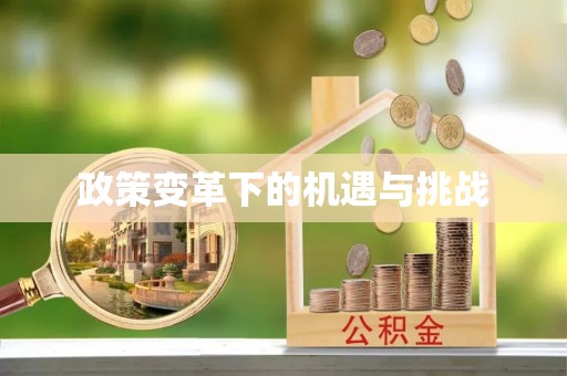儋州政策变革下的机遇与挑战