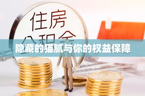 儋州隐藏的猫腻与你的权益保障