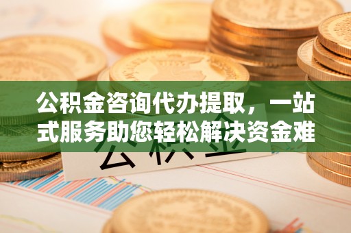 儋州公积金咨询代办提取，一站式服务助您轻松解决资金难题