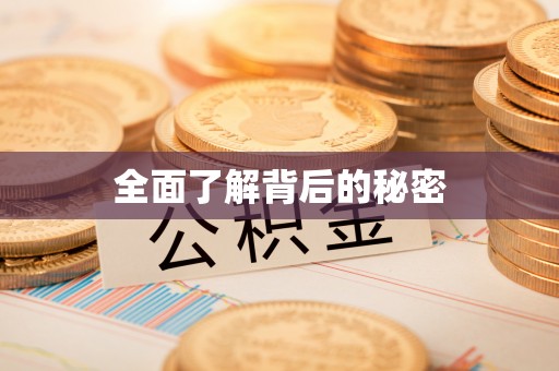 儋州全面了解背后的秘密