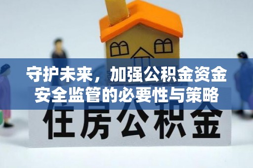 儋州守护未来，加强公积金资金安全监管的必要性与策略