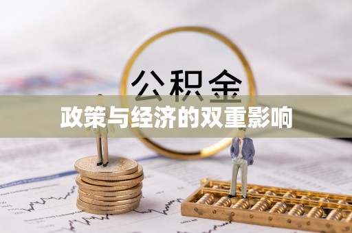 儋州政策与经济的双重影响