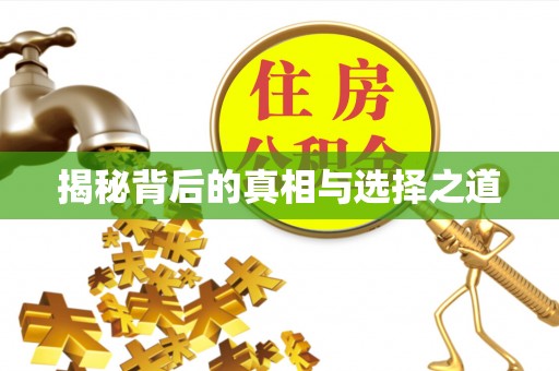 儋州揭秘背后的真相与选择之道