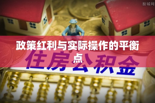 儋州政策红利与实际操作的平衡点
