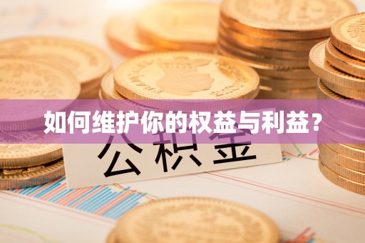 儋州如何维护你的权益与利益？
