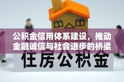儋州公积金信用体系建设，推动金融诚信与社会进步的桥梁