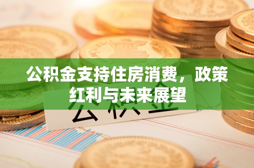 儋州公积金支持住房消费，政策红利与未来展望