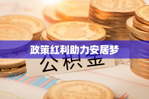 儋州政策红利助力安居梦
