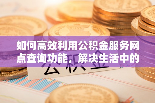 儋州如何高效利用公积金服务网点查询功能，解决生活中的资金难题