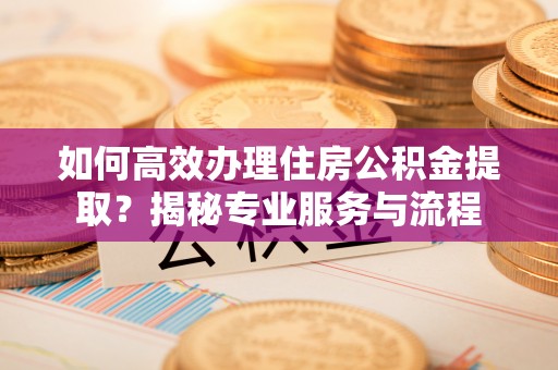 儋州如何高效办理住房公积金提取？揭秘专业服务与流程