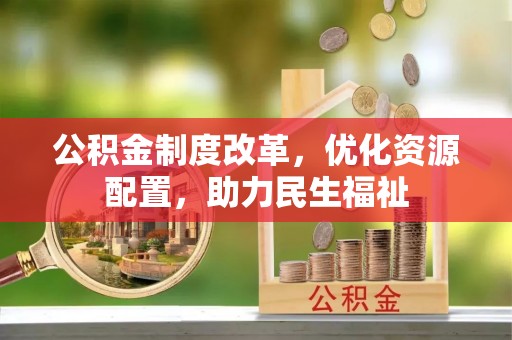 儋州公积金制度改革，优化资源配置，助力民生福祉