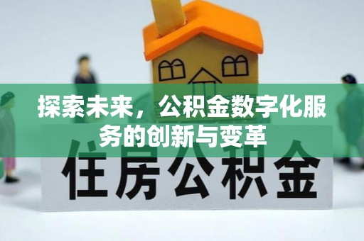 儋州探索未来，公积金数字化服务的创新与变革