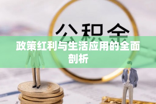 儋州政策红利与生活应用的全面剖析