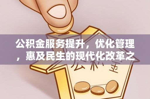 儋州公积金服务提升，优化管理，惠及民生的现代化改革之路