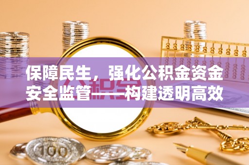 儋州保障民生，强化公积金资金安全监管——构建透明高效的管理体系