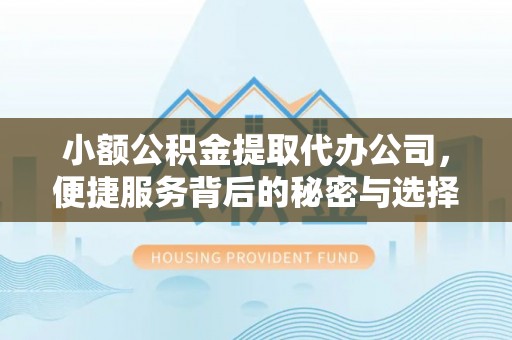 儋州小额公积金提取代办公司，便捷服务背后的秘密与选择指南