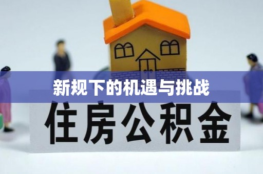 儋州新规下的机遇与挑战