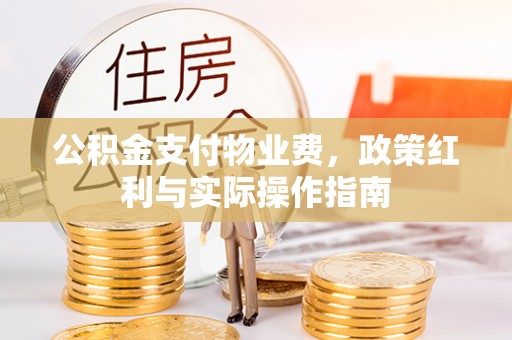 儋州公积金支付物业费，政策红利与实际操作指南
