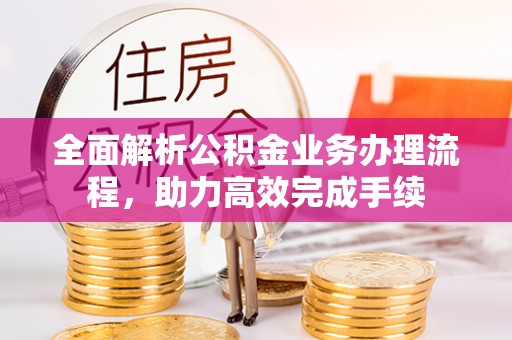 儋州全面解析公积金业务办理流程，助力高效完成手续